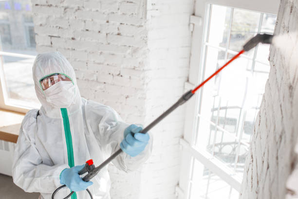 Best Asbestos and Lead Testing During Mold Inspection  in Lake Orion, MI