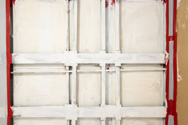 Professional Mold Removal in Lake Orion, MI