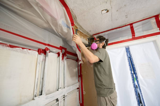 Best Crawl Space Mold Remediation  in Lake Orion, MI
