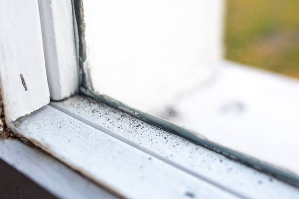 Best Dehumidification Services  in Lake Orion, MI